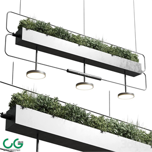 pot light - pendant plant light hanging 07